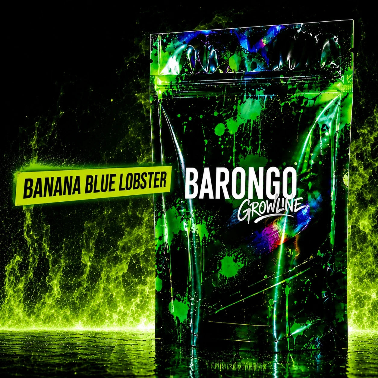 Banana Blue Lobster (5 Stück)